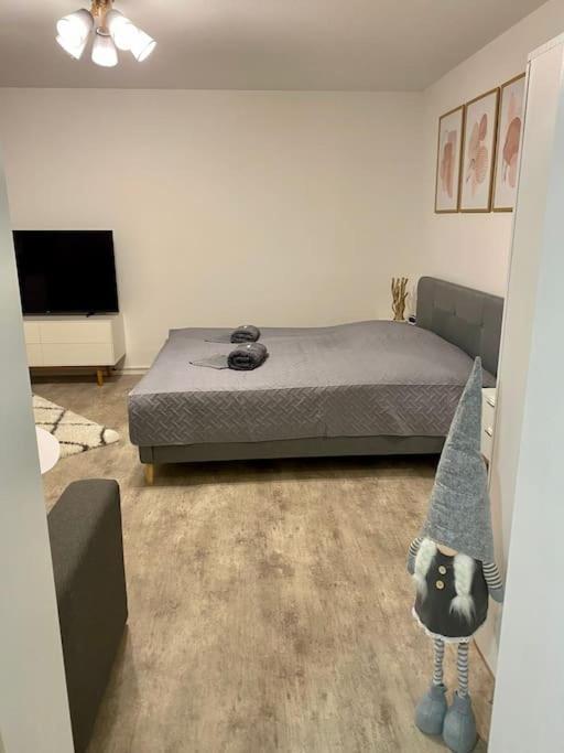 Stilvolle Ferienwohnung Mit Stellplatz Wlan Free Netflix Naehe Bahnhof Zwickau Exterior photo
